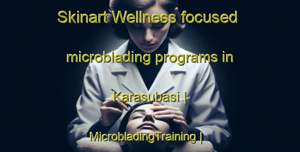 Skinart Wellness-focused microblading programs in Karasubasi | MicrobladingTraining | MicrobladingClasses | SkinartTraining-Turkey